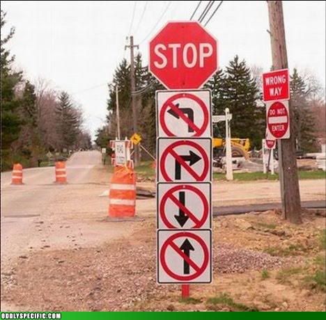 [Linked Image from i1010.photobucket.com]