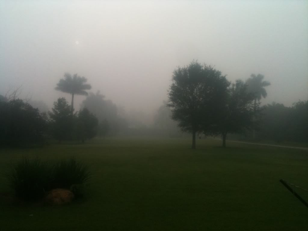 [Linked Image from i1010.photobucket.com]