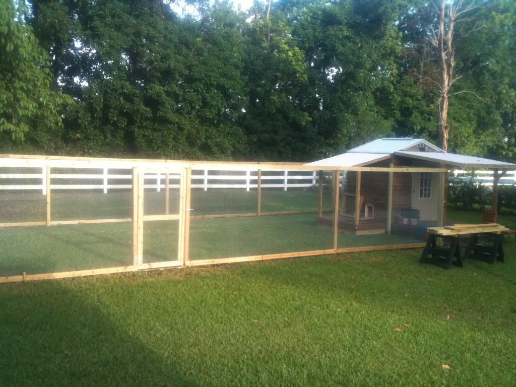 [Linked Image from i1010.photobucket.com]