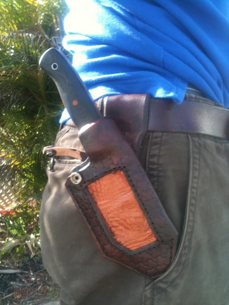 [Linked Image from i1010.photobucket.com]