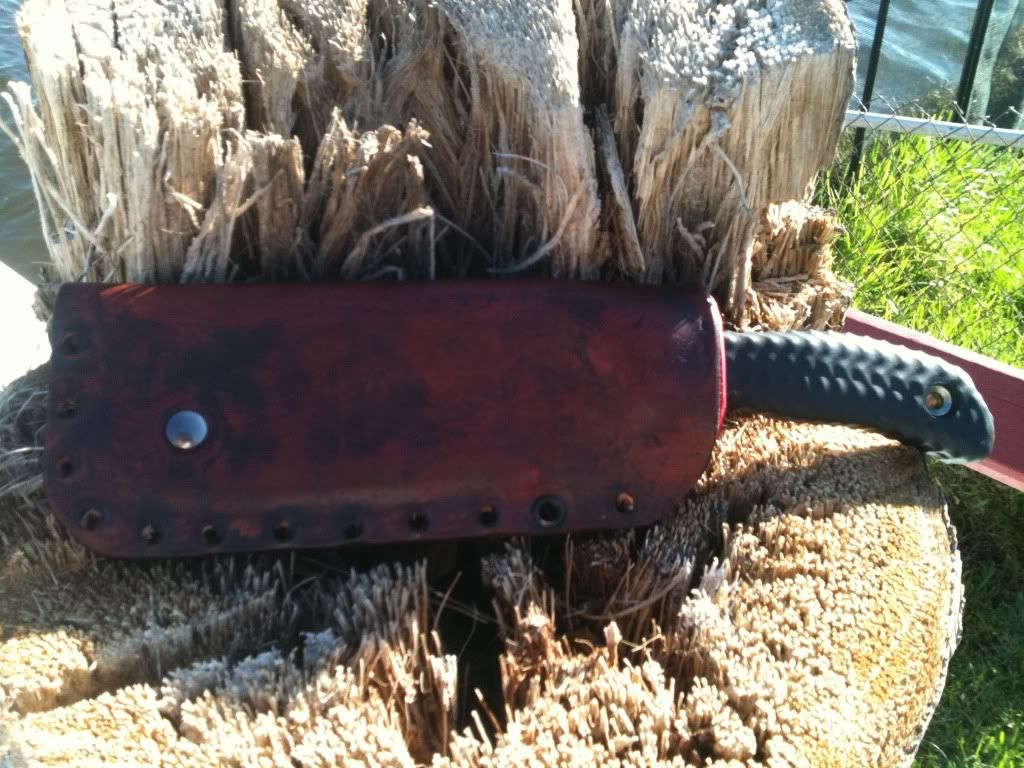 [Linked Image from i1010.photobucket.com]