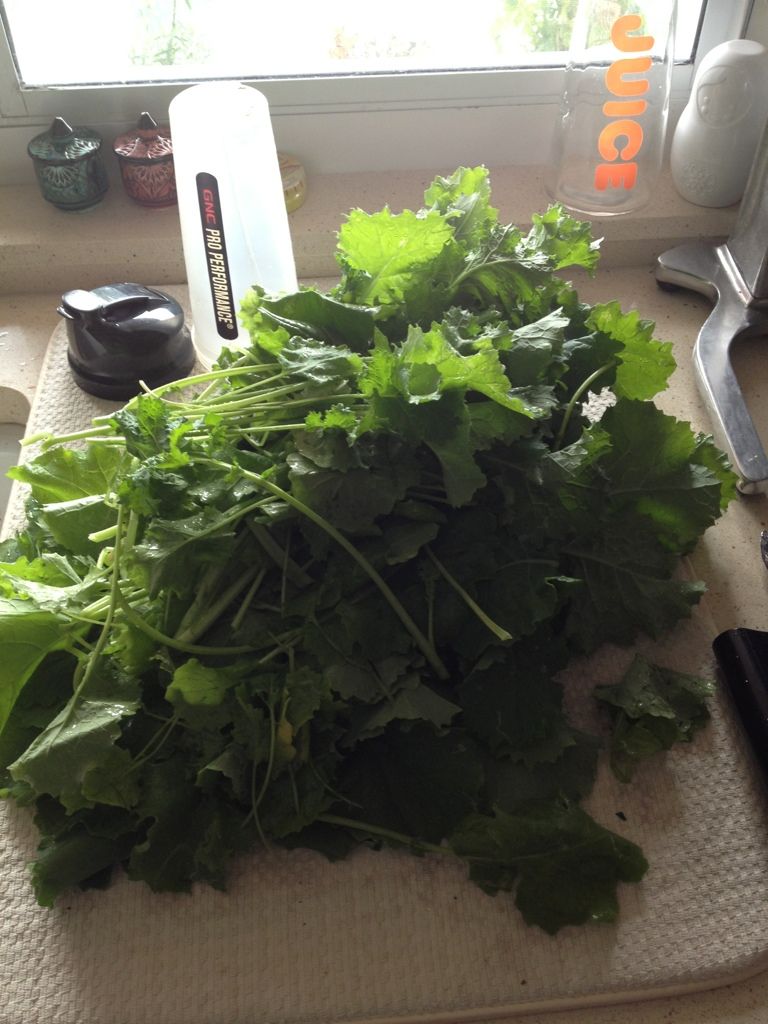 [Linked Image from i1010.photobucket.com]