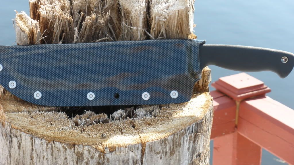 [Linked Image from i1010.photobucket.com]