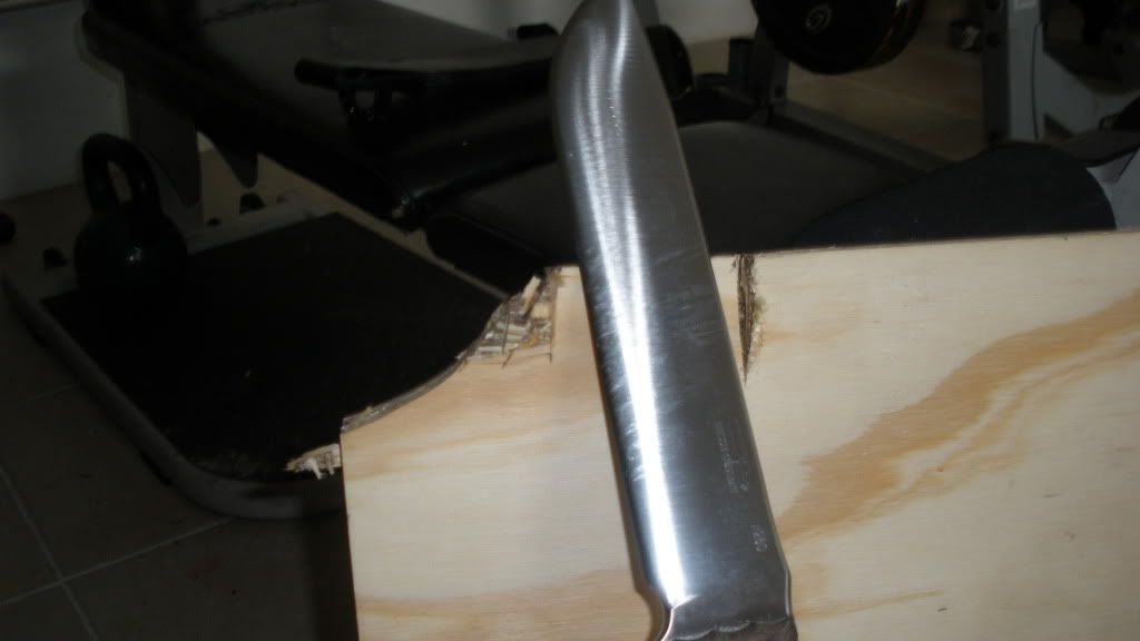 [Linked Image from i1010.photobucket.com]