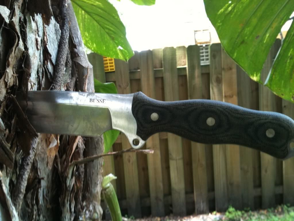 [Linked Image from i1010.photobucket.com]