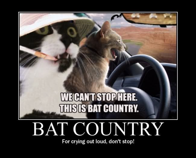 [Linked Image from i1010.photobucket.com]