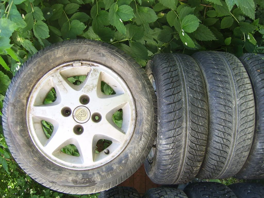 SV100631.jpg
