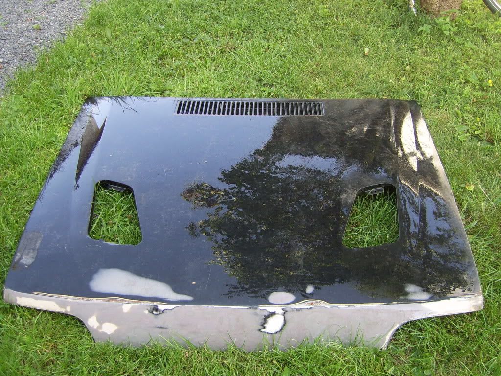 SV100632.jpg