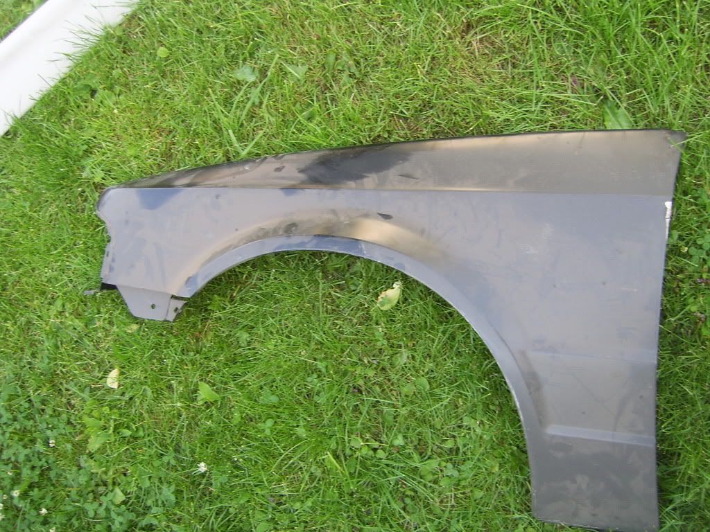 SV100643.jpg