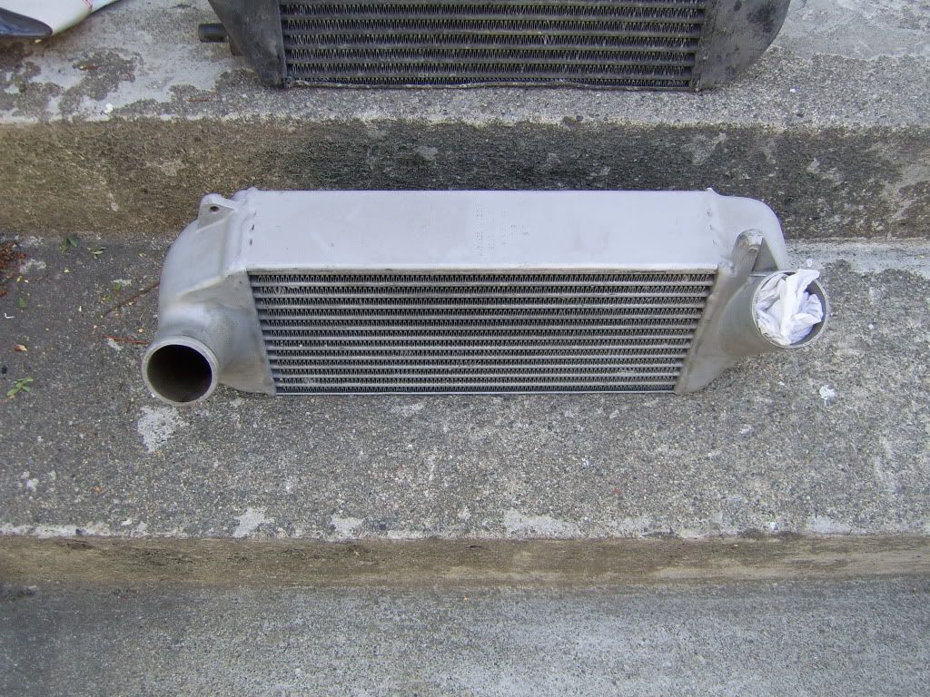SV100646.jpg