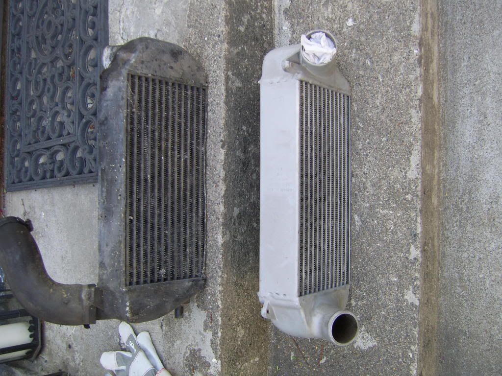 SV100647.jpg