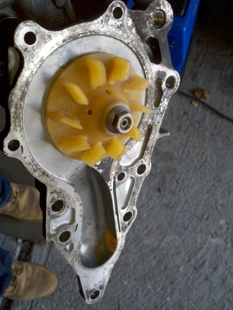 Posted Image