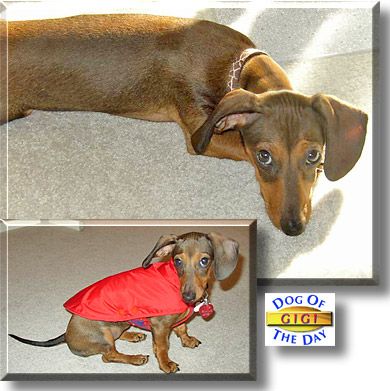 photo IMG_4423_zps0cd10cc4.jpg