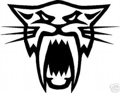 Arctic  Stickers on Cat Emblem    Any Ideas    Arcticchat Com   Arctic Cat Forum