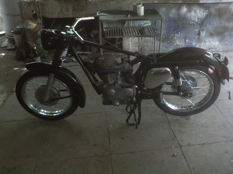 falcon falcon