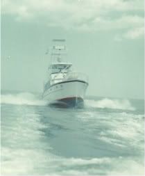 Image16.jpg