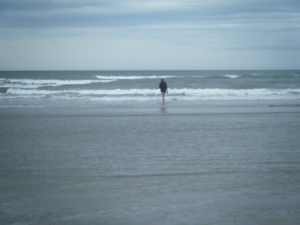 DSCF1334.jpg