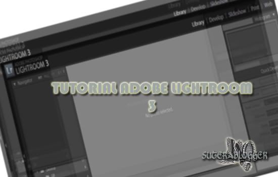 Adobe Lightroom ADOBELIGHTROOMTUTORIAL Tutorial Adobe Lightroom 3 | Edit Gambar Makanan Teknik 1