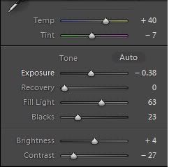 Basic setting Basic1 Tutorial Adobe Lightroom 3 | Edit Gambar Makanan Teknik 1