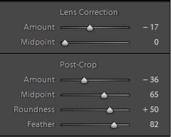 Effect EffectVignetes Tutorial Adobe Lightroom 3 | Edit Gambar Makanan Teknik 1
