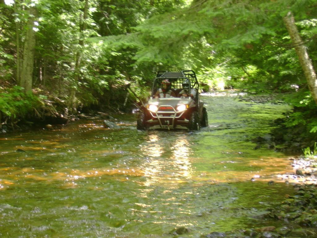 DSC00310.jpg