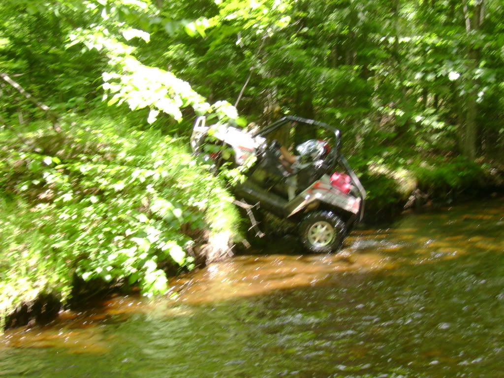 DSC00313.jpg