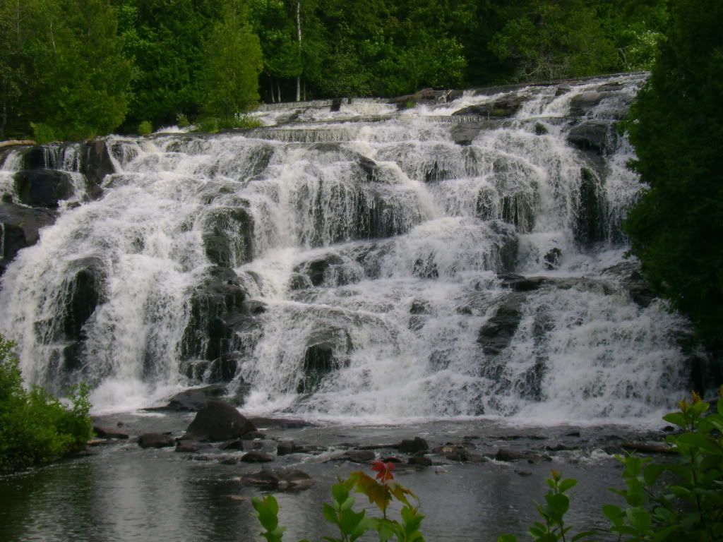 DSC00339.jpg