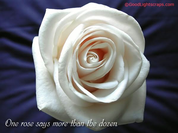 ......Friendship rose Flowers