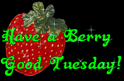 Tuesday Orkut Scraps and Myspace Comments