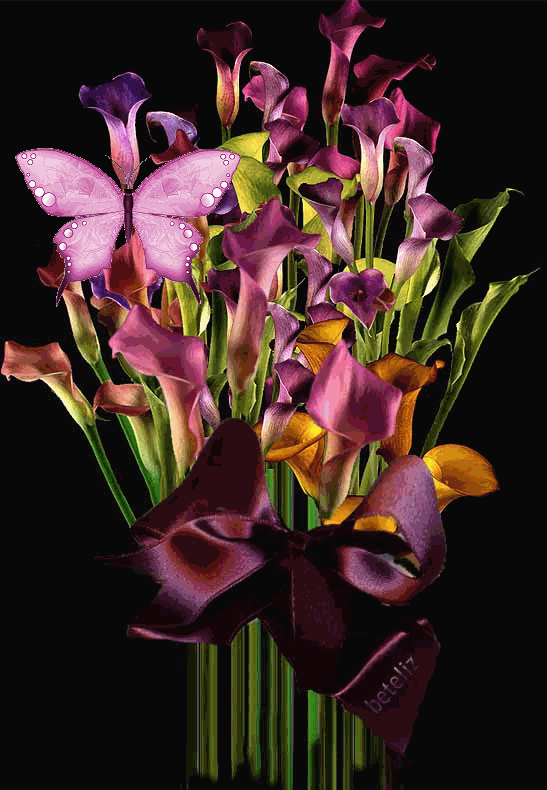 scrapsgallery.com graphic comments