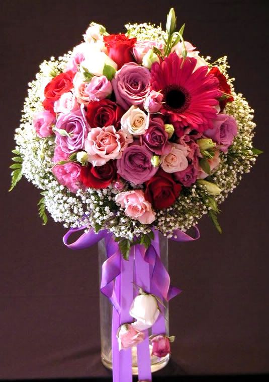 scrapsgallery.com graphic comments