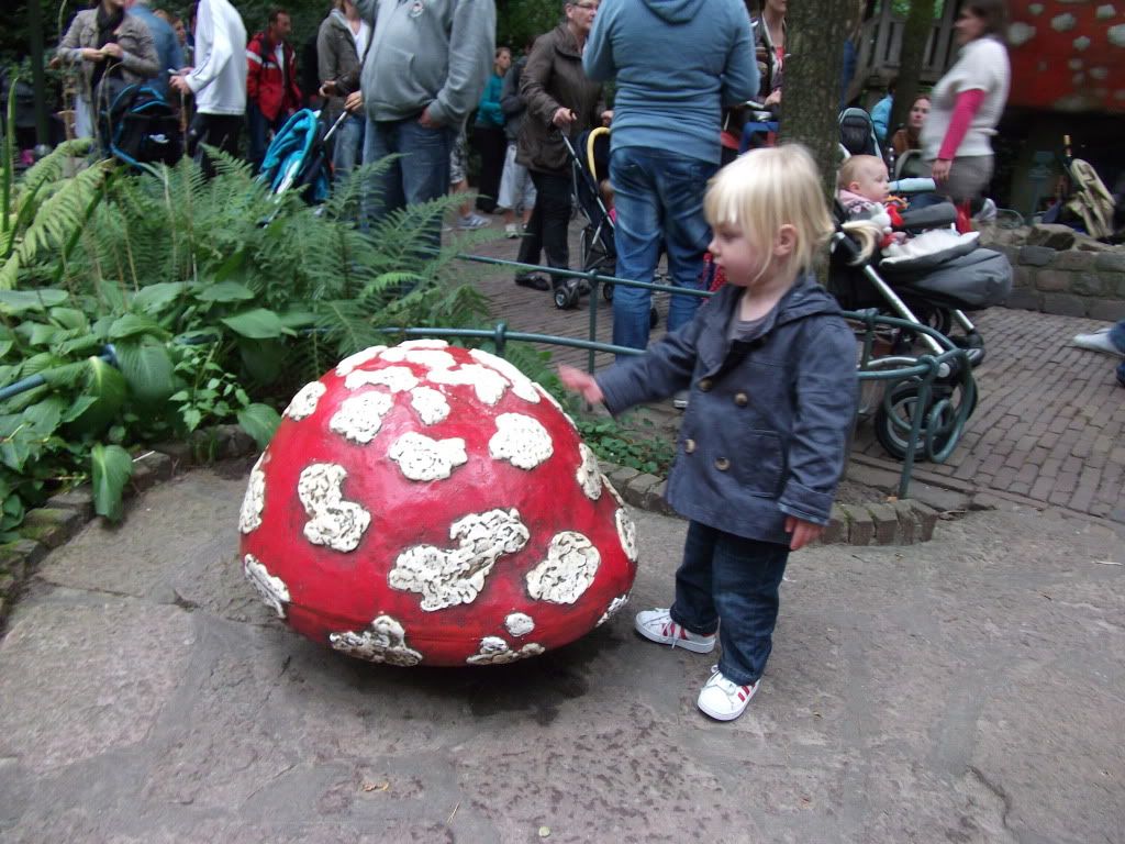 DSCF0784.jpg