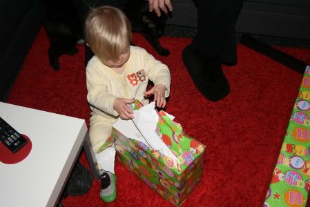 IMG_8971.jpg
