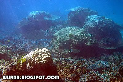 ปะการัง , อุทยานแห่งชาติหมู่เกาะสุรินทร์