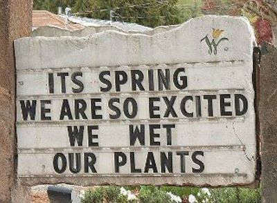 Its-spring-wet-your-plants_zps80c121ca.jpg