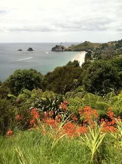 Drive from Hot Water Beach to Cathedral Cove, The view on the drive from Hot Water Beach to Cathedral Cove.