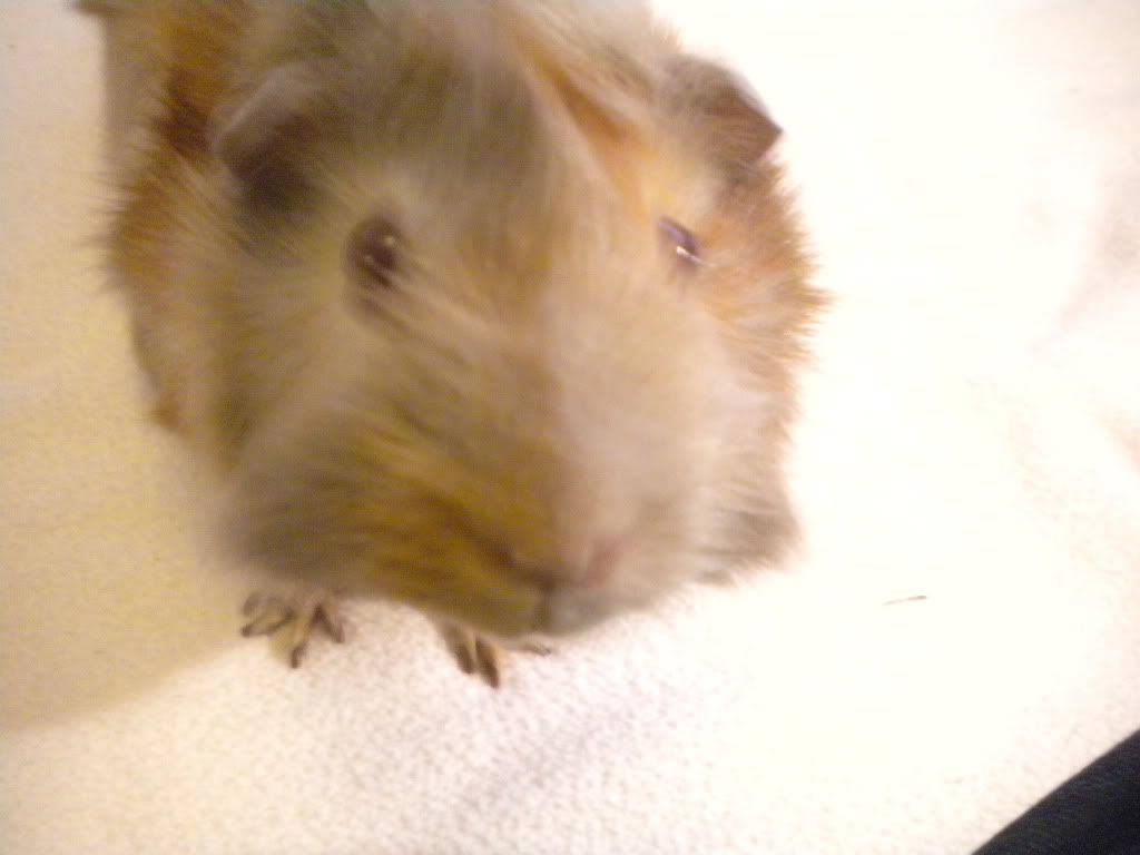 DSCN2197.jpg