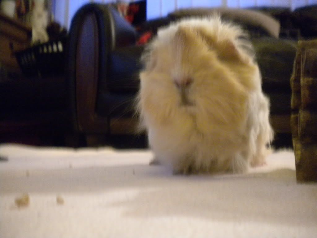 DSCN2233.jpg