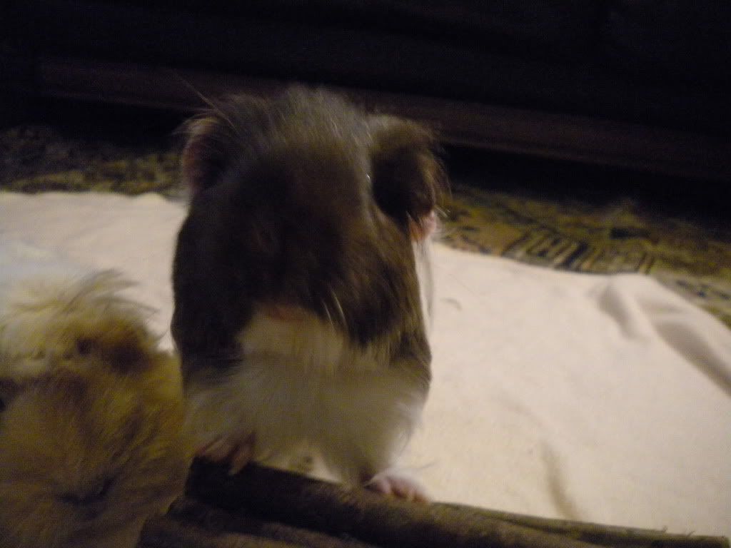 DSCN2234.jpg