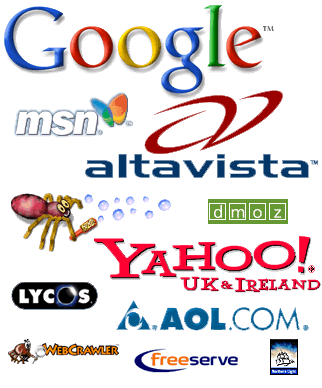 search engine user
